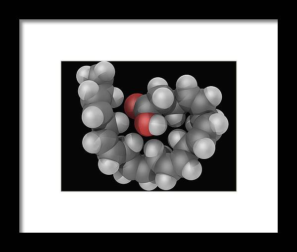 Horizontal Framed Print featuring the digital art Docosahexaeonic Acid Molecule by Laguna Design