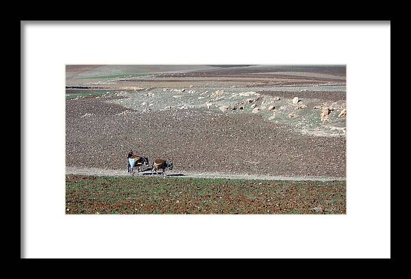 Travel Framed Print featuring the photograph Donkeys in The Atlas Mountains by Miki De Goodaboom