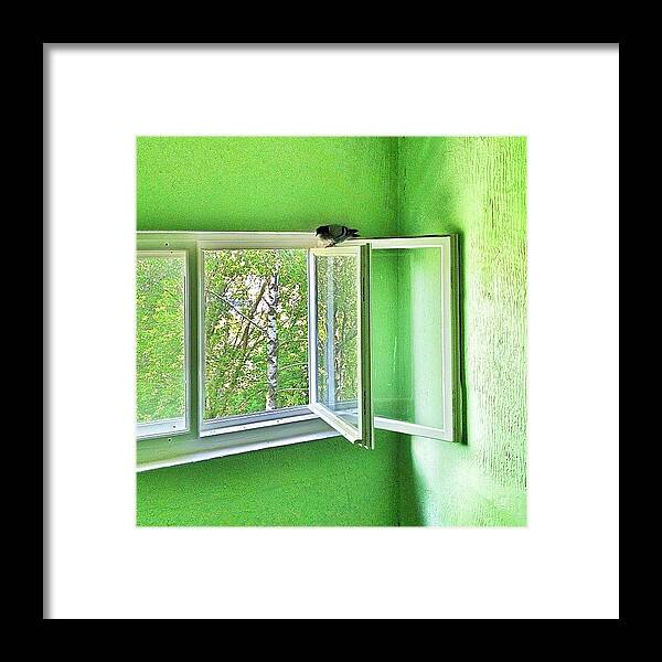 Summer Framed Print featuring the photograph Dove in green by Alex Maximenya