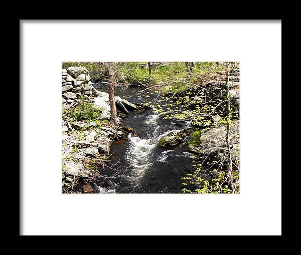 Brook Framed Print featuring the photograph Down By The Brook by Kim Galluzzo