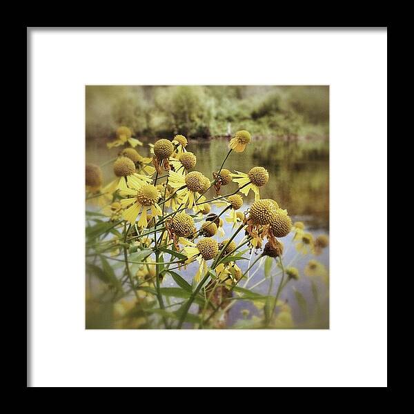Photooftheday Framed Print featuring the photograph Down By The Riverside by Karyn Teno