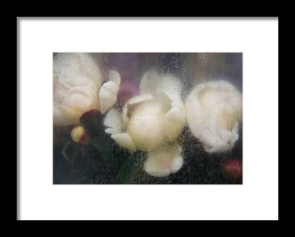 Old Masters Framed Print featuring the photograph Dreaming of Rembrandt by Lynn Wohlers