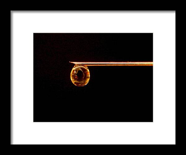 Water Framed Print featuring the photograph Drip by Scott Brown