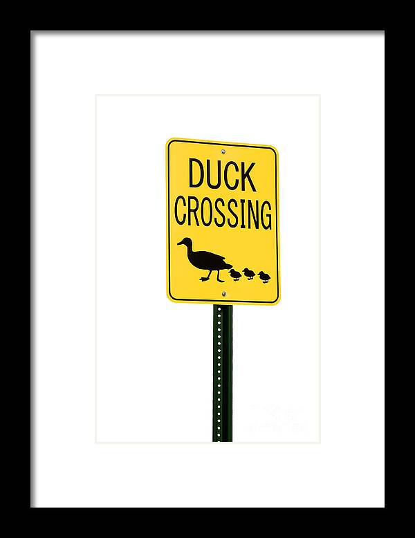 Duck Framed Print featuring the photograph Duck Crossing sign by Blink Images