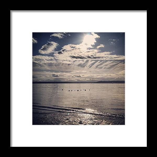  Framed Print featuring the photograph Ducks In The Ocean. Beautiful Shot On by Reza Malayeri