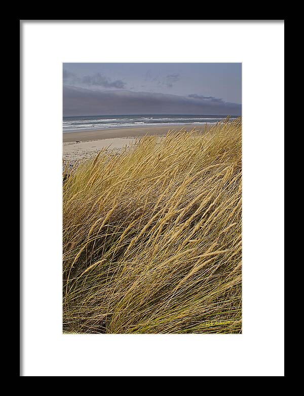 Oregon Framed Print featuring the photograph Dune Grass on the Oregon Coast by Mick Anderson
