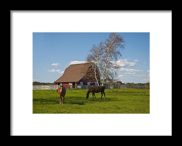 Barn Framed Print featuring the photograph Duo by Cathy Kovarik