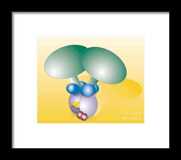 Dynein Motor Framed Print featuring the photograph Dynein Complex by Oak Ridge National Laboratory