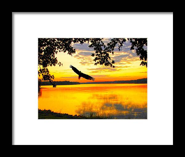 Eagle Up Close At Sundown Framed Print featuring the photograph Eagle at sunset by Randall Branham
