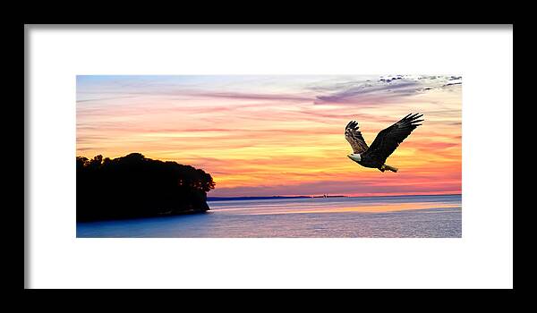 Eagle Sunrise Framed Print featuring the photograph Eagle Sunrise by Randall Branham