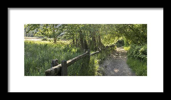 Felton Framed Print featuring the photograph Early Summer Henry Cowell Felton CA Larry Darnell California Landscape Art by Larry Darnell