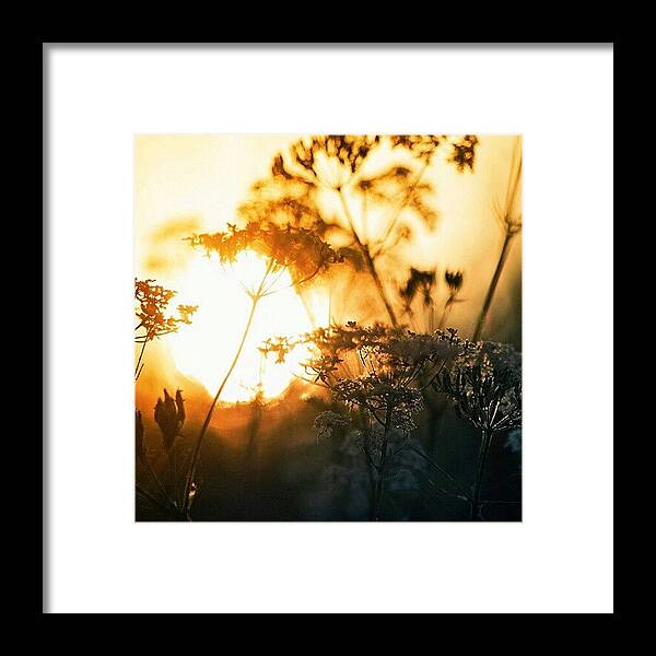 Beautiful Framed Print featuring the photograph Early Sunrise #iphonesia #instagood by Robin Hedberg