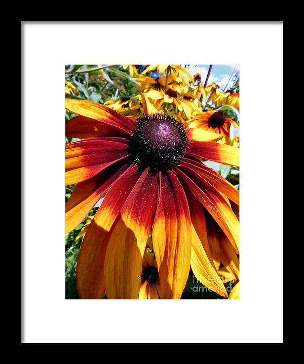 Bright Framed Print featuring the photograph Earth Tone by Art Dingo