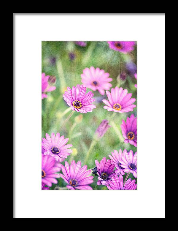 Floral Framed Print featuring the photograph Easter Basket by Joel Olives
