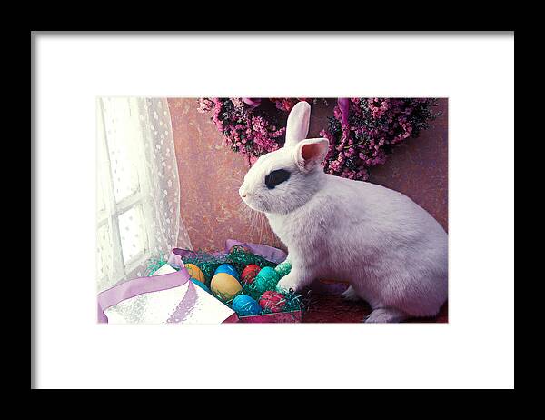 Easter Framed Print featuring the photograph Easter bunny by Garry Gay