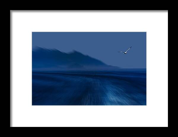 Isola D'elba Framed Print featuring the photograph ELBA ISLAND - Flying away - ph Enrico Pelos by Enrico Pelos