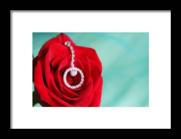 Rose Framed Print featuring the photograph Elegance in Color by Mark J Seefeldt