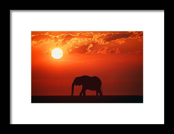 Horizontal Framed Print featuring the photograph Elephant Silhouette by Don Hammond