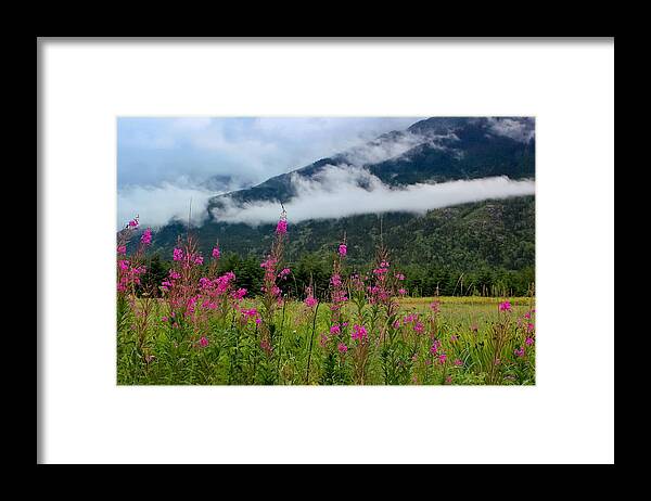 Meadow Framed Print featuring the photograph Emerging Mist by April Reppucci