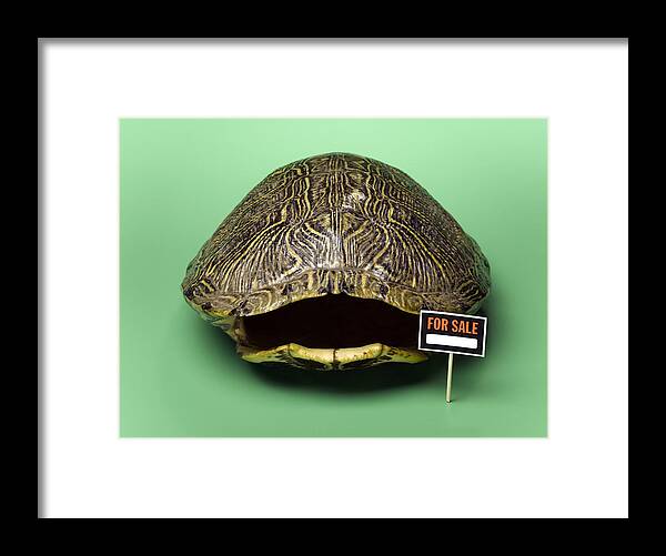 Horizontal Framed Print featuring the photograph Empty Turtle Shell With For Sale Sign by Jeffrey Hamilton