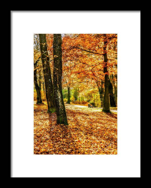 Autumn Framed Print featuring the photograph enjoy the autmn II by Hannes Cmarits