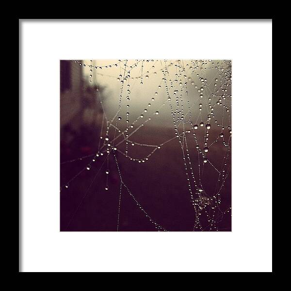 Web Framed Print featuring the photograph Even The Tiny Spiders Couldn't Escape by Amber Flowers