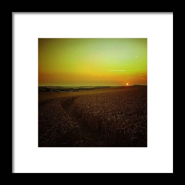 Summer Framed Print featuring the photograph #evening #sunset Over #wheatfield by Nikki Sheppard