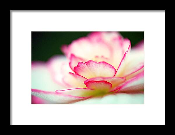 Flower Framed Print featuring the photograph Every Moment... by Melanie Moraga