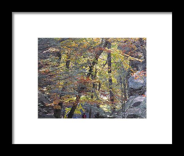 Nature Framed Print featuring the photograph Exploring Nature's Gift by Loretta Pokorny