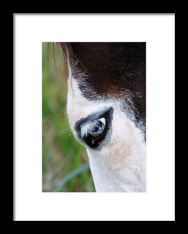  Framed Print featuring the photograph 'Eye of Ghostface' by PJQandFriends Photography