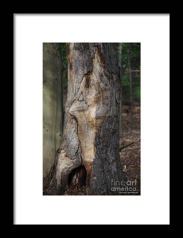 Tree Framed Print featuring the photograph Face in the Tree by Tannis Baldwin