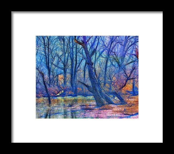 Fine Art Framed Print featuring the photograph Fairytale Swamp by Bill and Linda Tiepelman