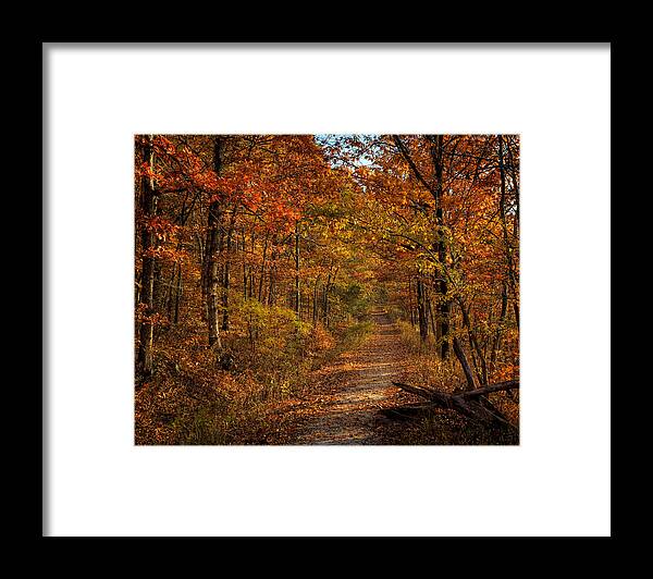 Center Point Trail Framed Print featuring the photograph Fall at Center Point Trailhead by Michael Dougherty