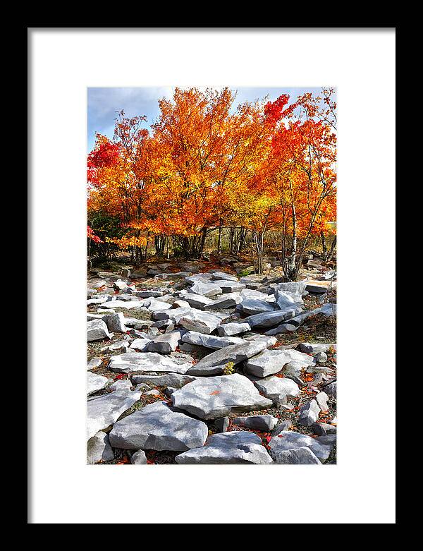 Fall Colors Framed Print featuring the photograph Fall Color Trees and Rocks - West Virginia by Dan Carmichael