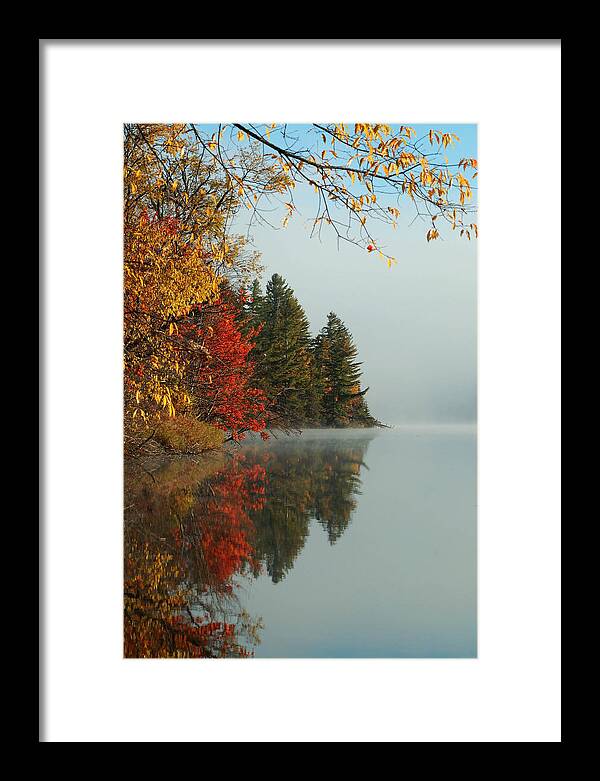 Adirondack Mts. Framed Print featuring the photograph Fall colors on Low's Lake by Peter DeFina