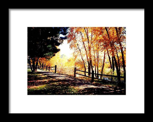 Gallery Art Framed Print featuring the photograph Fall day by David Alvarez