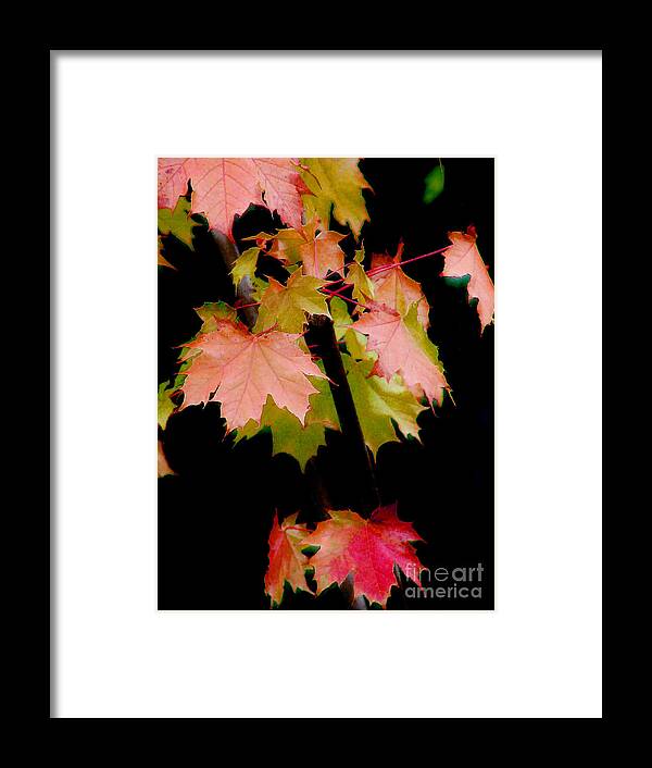 Leaf Framed Print featuring the photograph Fall Grandeur by Rory Siegel