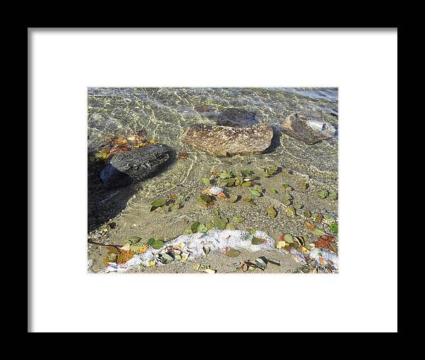 Fall Framed Print featuring the photograph Fall Leaf Shoreline by Kim Galluzzo