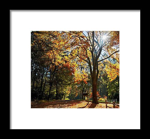 Fall Landscape Framed Print featuring the photograph Fall Morning by Southern Photo