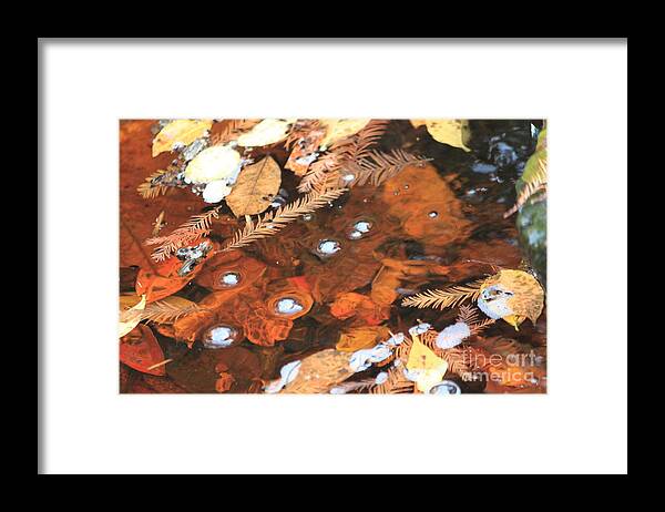  Framed Print featuring the photograph Fall Pool by Nathan Grisham