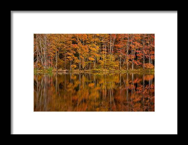 Fall Framed Print featuring the photograph Fall Reflection by Karol Livote