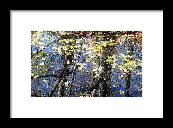 Nature Framed Print featuring the photograph Fall reflections by I'ina Van Lawick