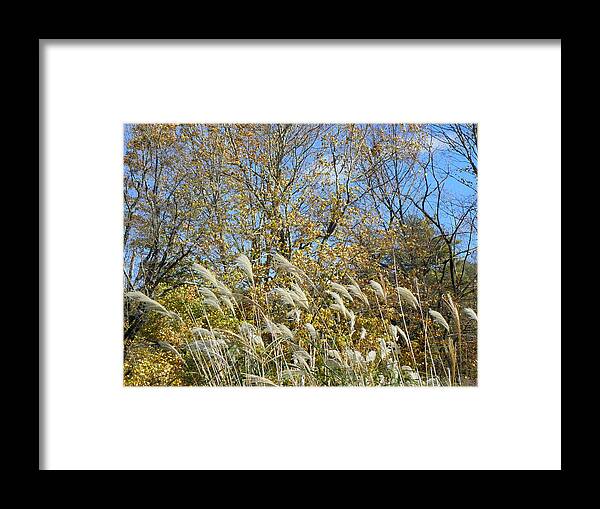 Fall Framed Print featuring the photograph Fall scape in Connecticut by Kim Galluzzo Wozniak