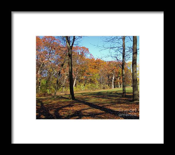 Landscape Framed Print featuring the photograph Fall Tree Shadows by Cedric Hampton