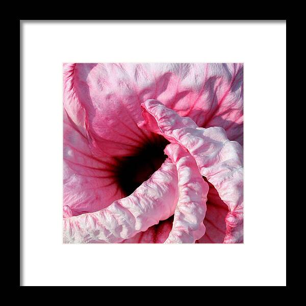 Hibiscus Framed Print featuring the photograph Fancy Hibiscus by Karen Harrison Brown