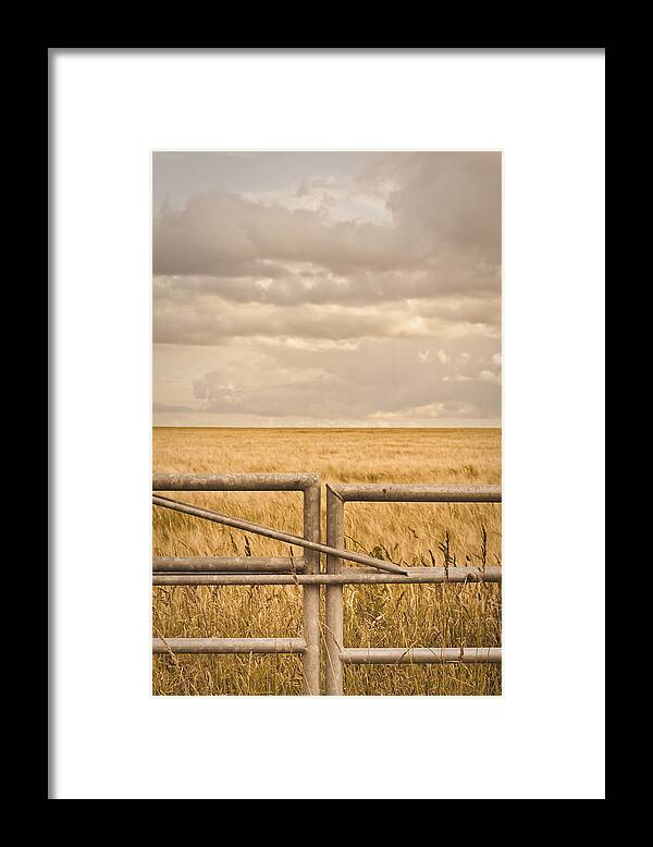 Agriculture Framed Print featuring the photograph Farm gate by Tom Gowanlock