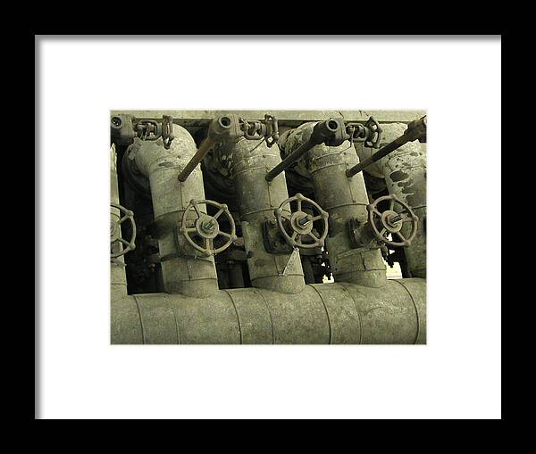 Steve Sperry Mighty Sight Studio Photography Framed Print featuring the photograph Fauceted by Steve Sperry