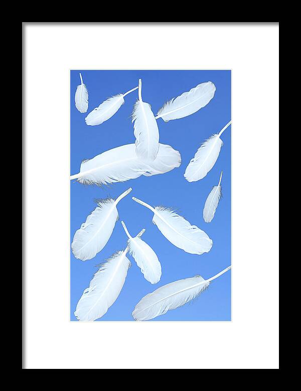 Feathers Framed Print featuring the photograph Feathers in the air by Angel Jesus De la Fuente