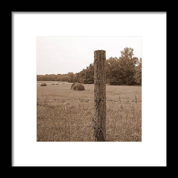 Barbed Wire Framed Print featuring the photograph Fence and Field by Life Makes Art