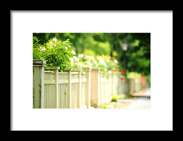 Flowers Framed Print featuring the photograph Fence and Flowers by HD Connelly